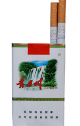 黃果樹(shù)香煙與貴州軟件開(kāi)發(fā)的特色發(fā)展路徑